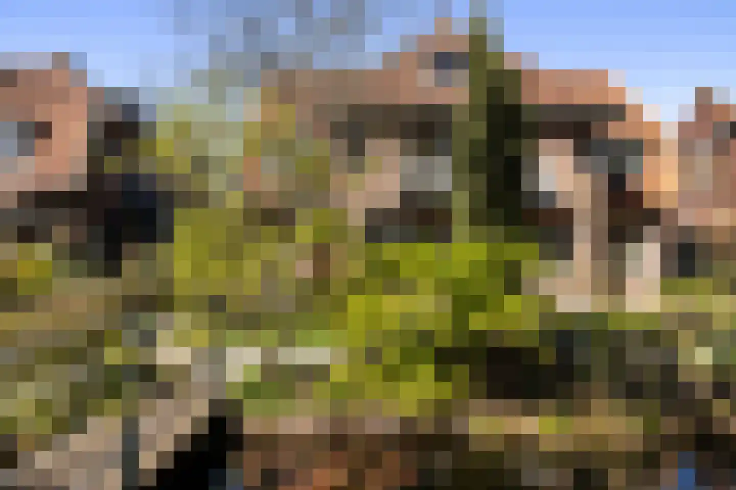 Korte Scheidingsweg 17 Dordrecht thumbnail 49