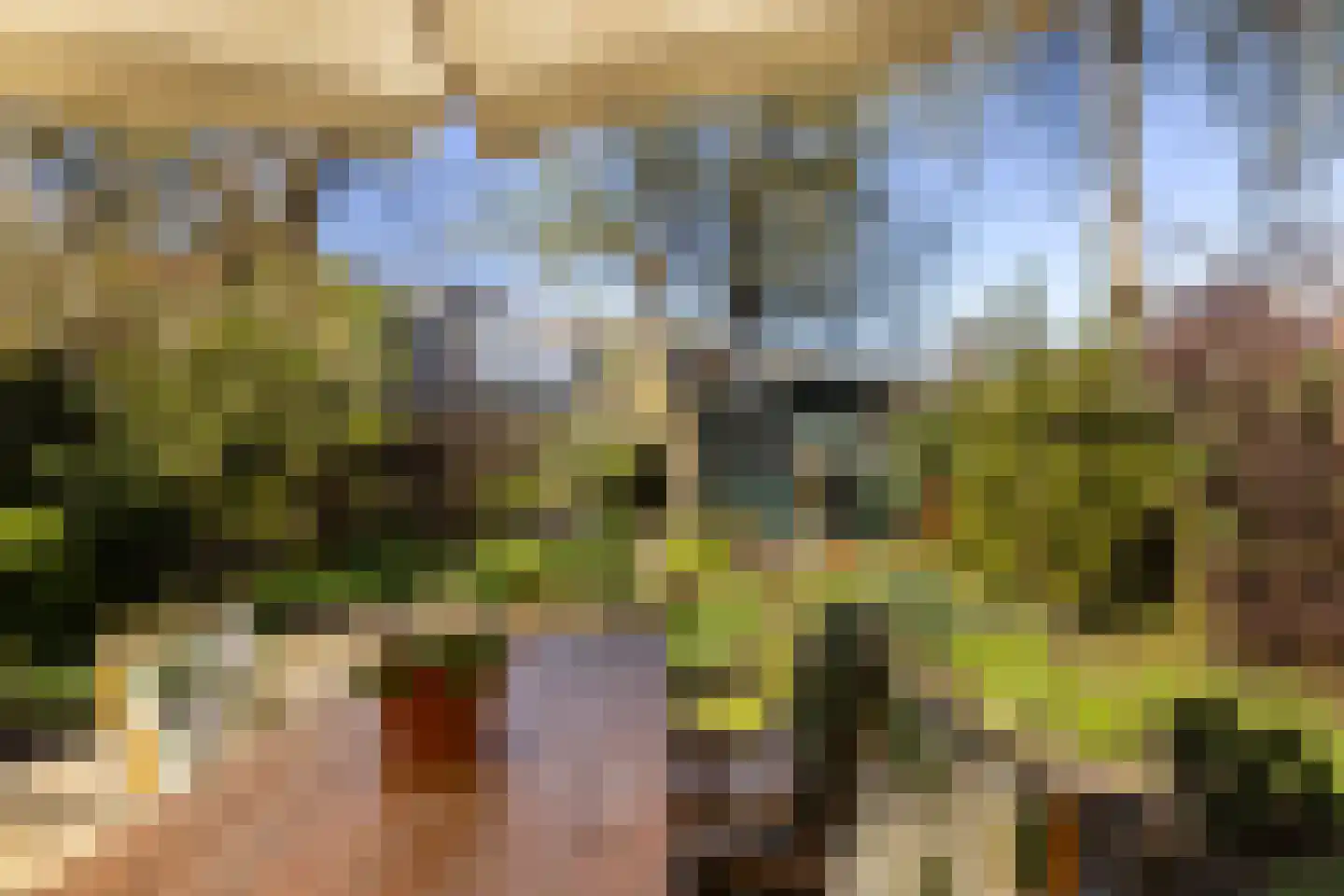 Korte Scheidingsweg 17 Dordrecht thumbnail 59