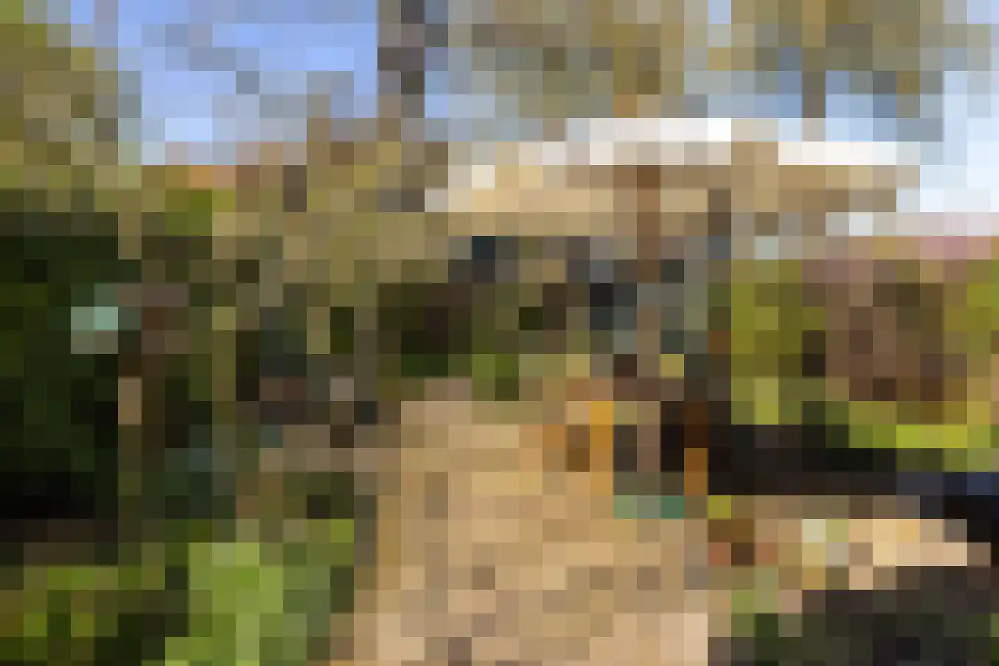 Korte Scheidingsweg 17 Dordrecht thumbnail 60