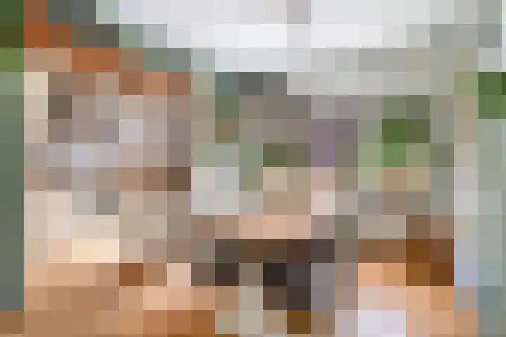 Korte Scheidingsweg 2 Dordrecht thumbnail 10