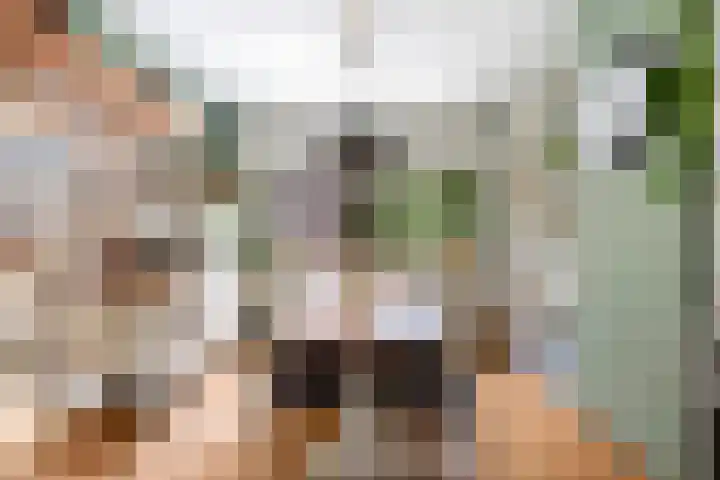 Korte Scheidingsweg 2 Dordrecht thumbnail 11