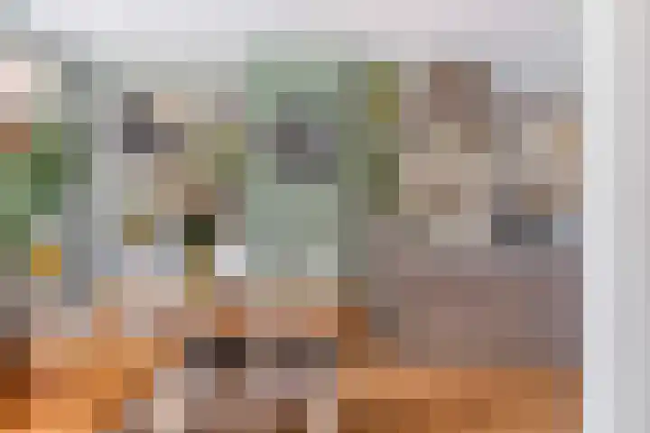 Korte Scheidingsweg 2 Dordrecht thumbnail 18