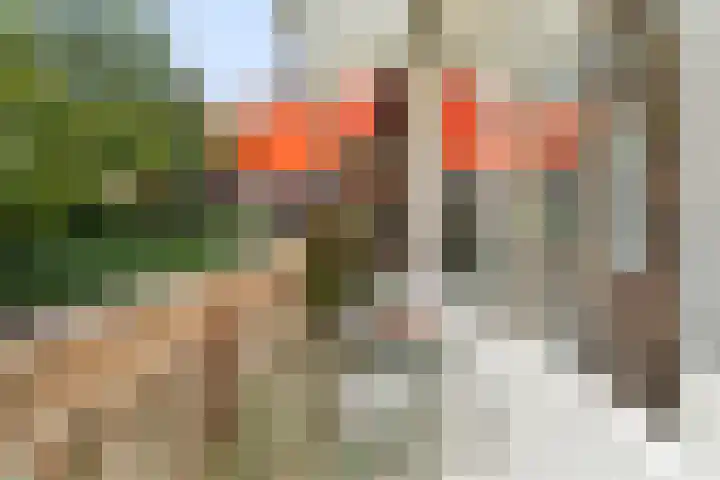 Korte Scheidingsweg 2 Dordrecht thumbnail 23