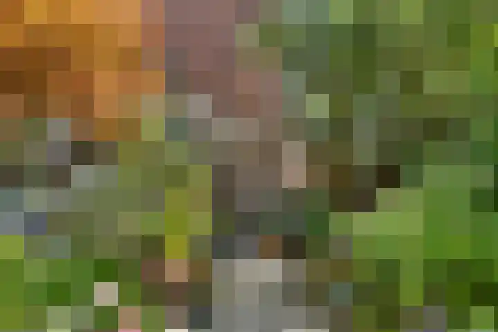 Korte Scheidingsweg 2 Dordrecht thumbnail 26