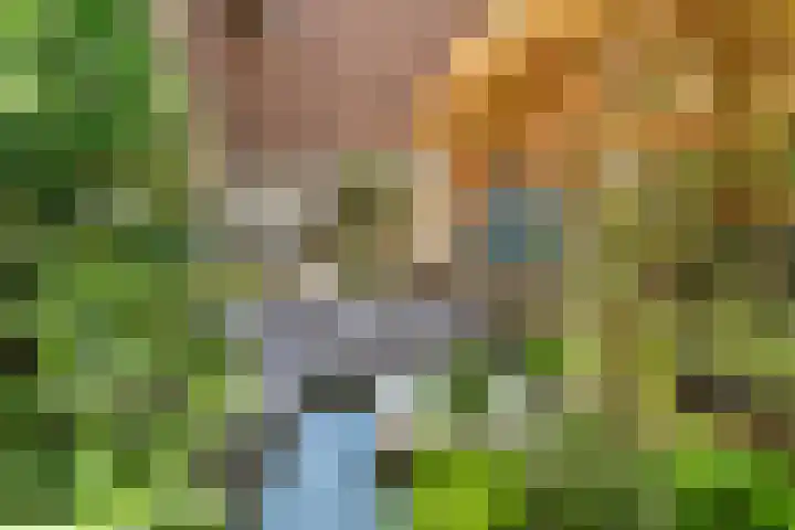 Korte Scheidingsweg 2 Dordrecht thumbnail 27
