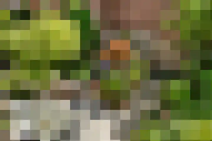 Korte Scheidingsweg 2 Dordrecht thumbnail 28