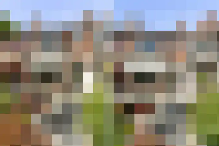 Korte Scheidingsweg 2 Dordrecht thumbnail 29