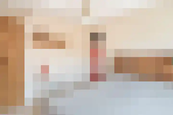 Korte Scheidingsweg 2 Dordrecht thumbnail 34