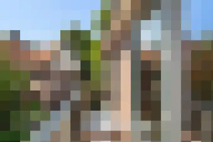 Korte Scheidingsweg 2 Dordrecht thumbnail 35