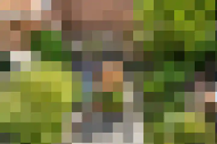 Korte Scheidingsweg 2 Dordrecht thumbnail 37