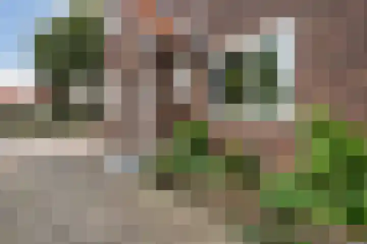 Korte Scheidingsweg 2 Dordrecht thumbnail 46