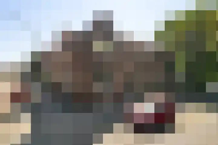 Korte Scheidingsweg 2 Dordrecht thumbnail 47