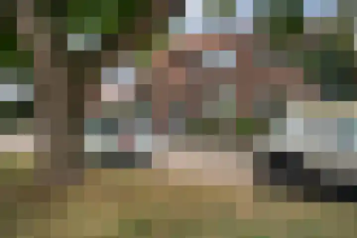 Korte Scheidingsweg 2 Dordrecht thumbnail 49