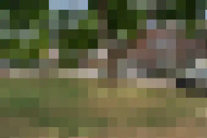 Korte Scheidingsweg 2 Dordrecht thumbnail 5
