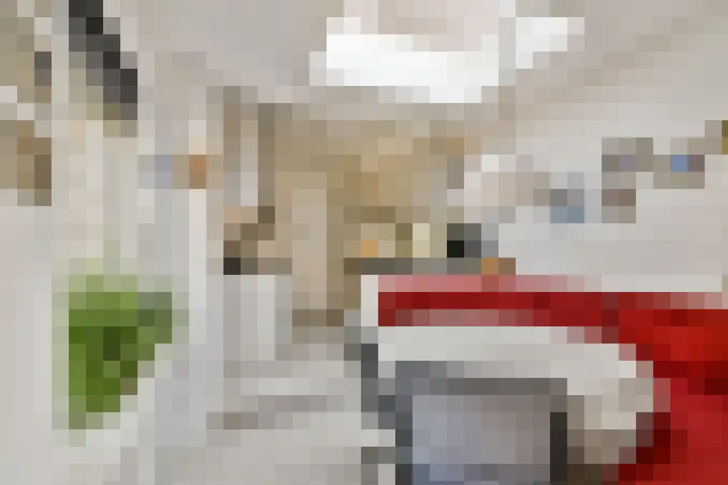 Korte Scheidingsweg 25 Dordrecht thumbnail 19