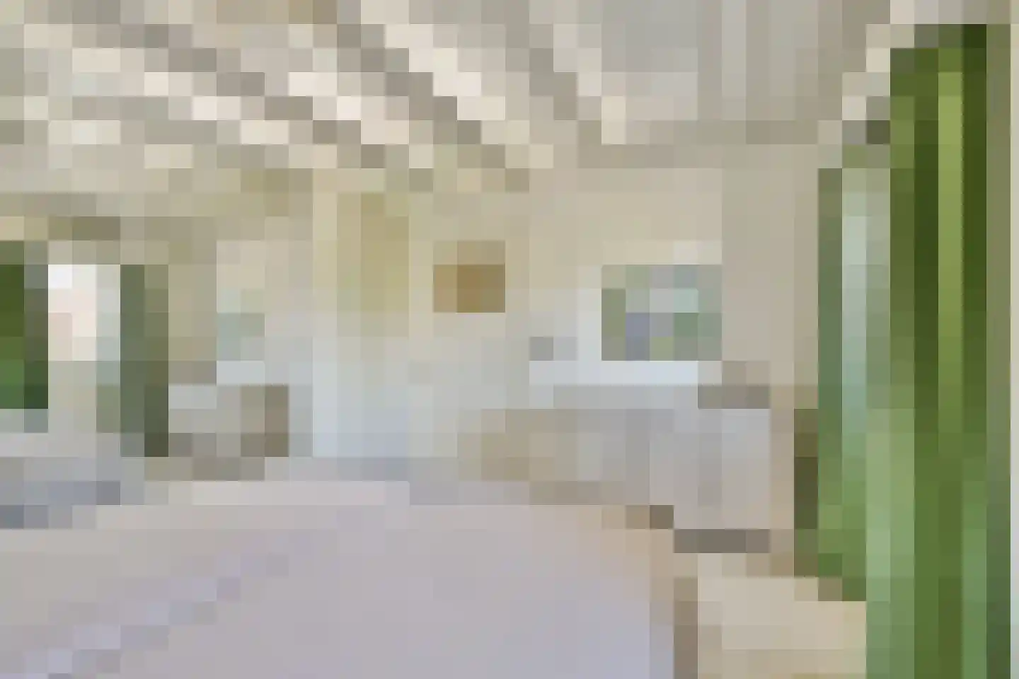Korte Scheidingsweg 25 Dordrecht thumbnail 36