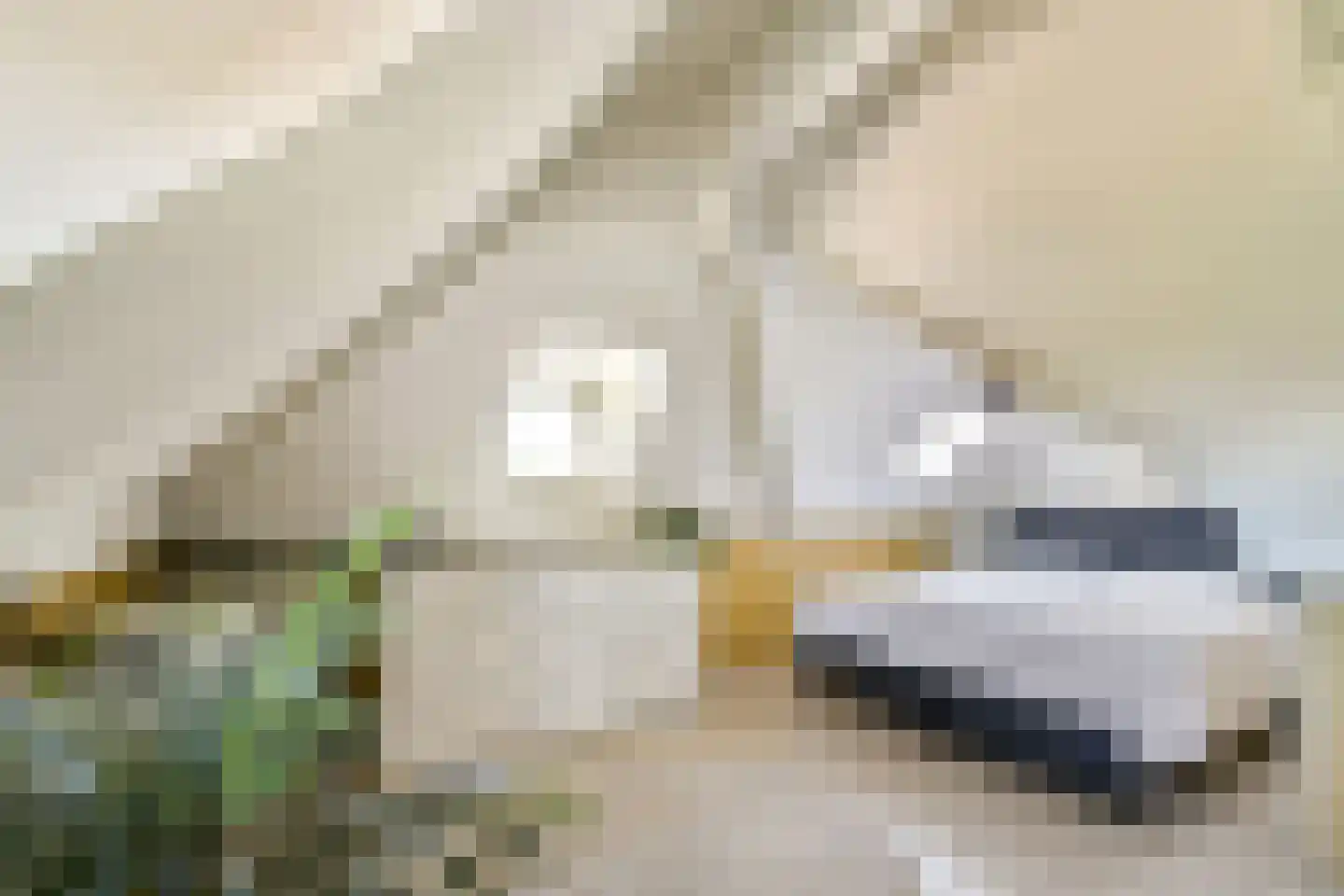 Korte Scheidingsweg 25 Dordrecht thumbnail 40