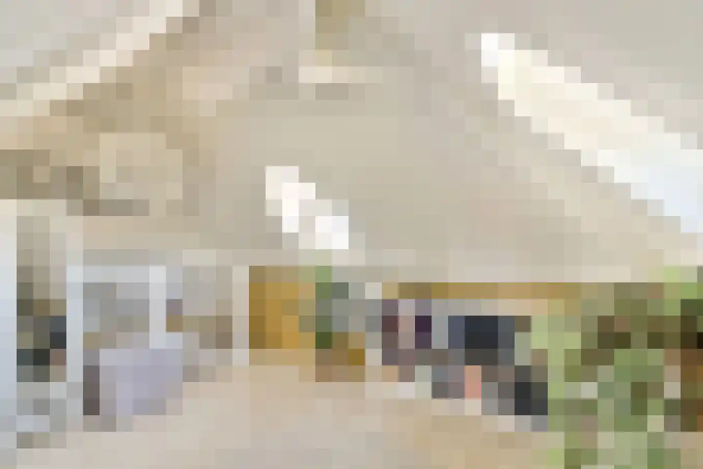 Korte Scheidingsweg 25 Dordrecht thumbnail 41