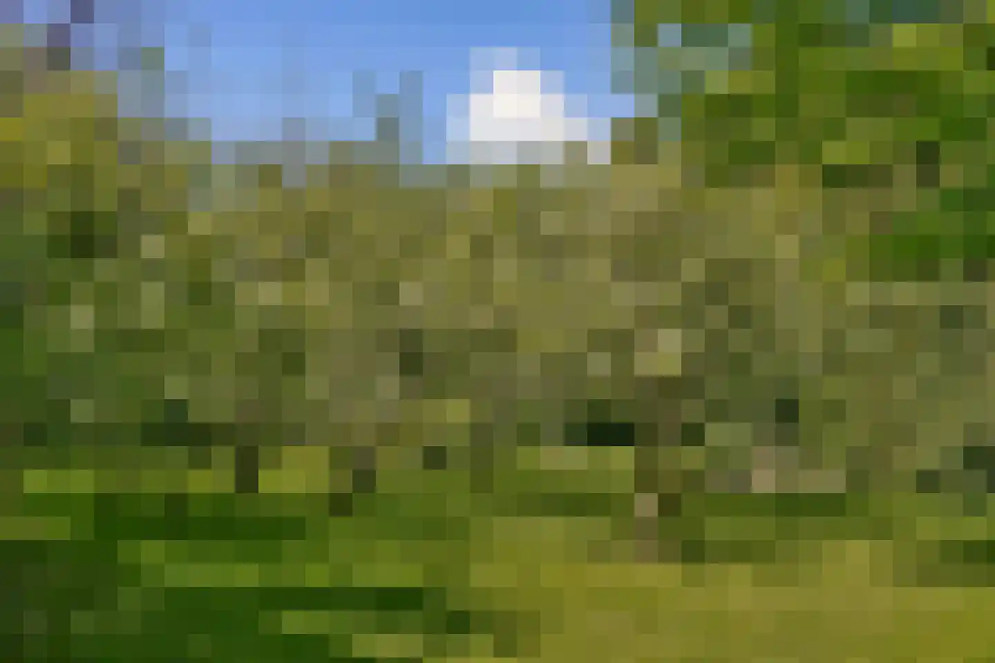 Korte Scheidingsweg 25 Dordrecht thumbnail 44