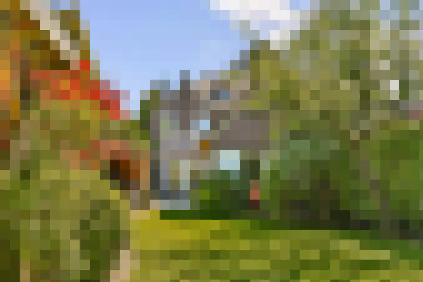 Korte Scheidingsweg 25 Dordrecht thumbnail 7