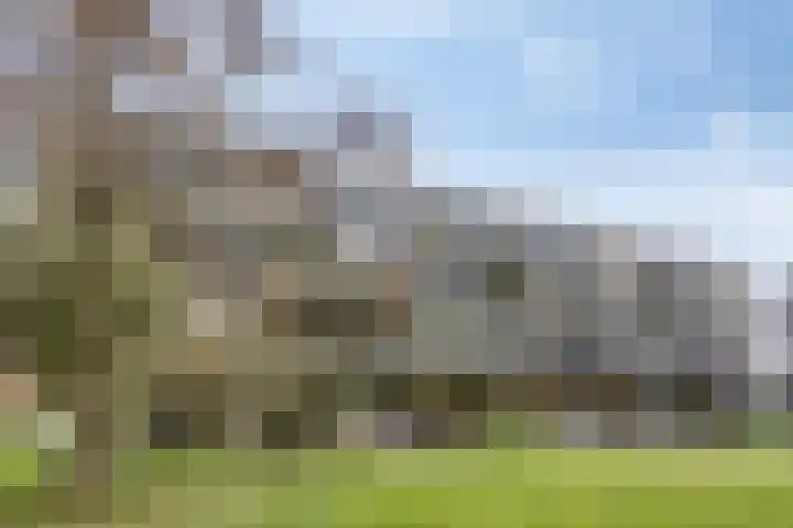Korte Schijfstraat 150 Tilburg thumbnail 32