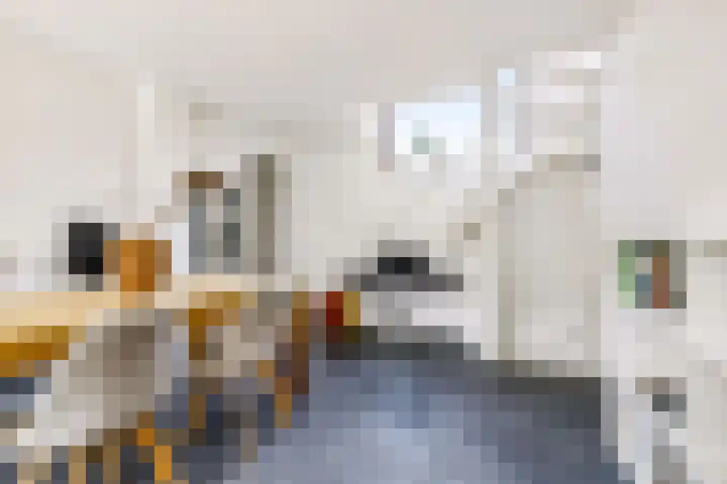 Korte Schijfstraat 25 Tilburg thumbnail 26