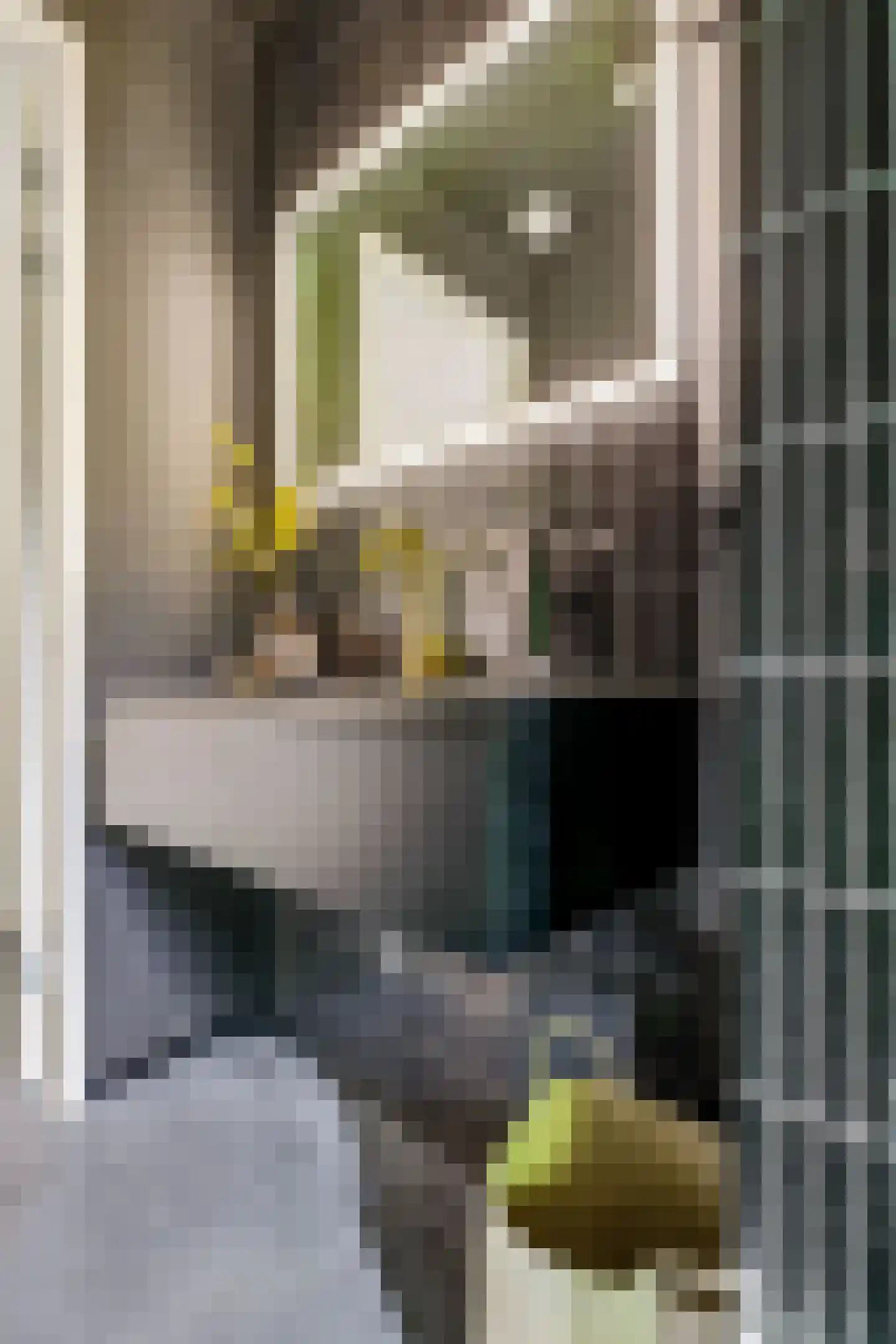 Korte Schijfstraat 25 Tilburg thumbnail 31