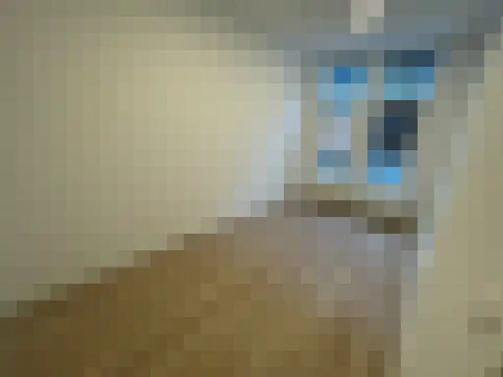 Korte Schoonderloostraat 20 Rotterdam thumbnail 4