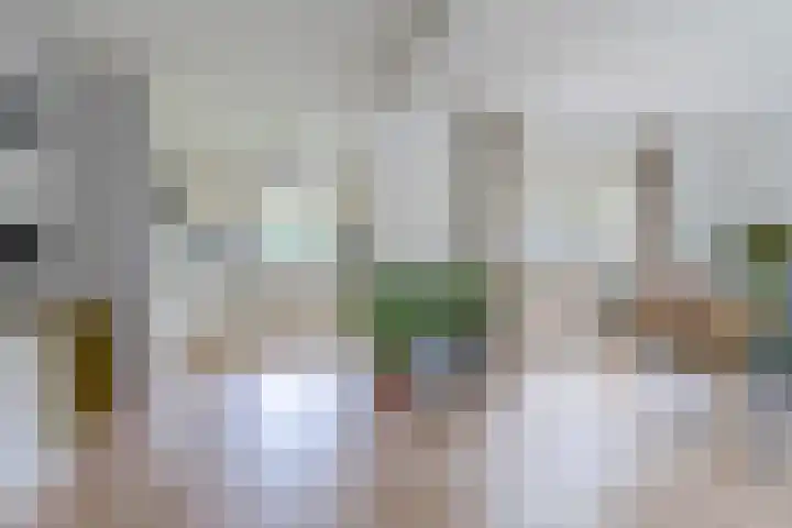 Korte Schoor 13 Hapert thumbnail 12