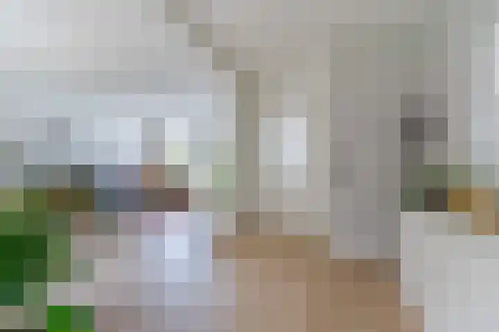 Korte Schoor 13 Hapert thumbnail 13