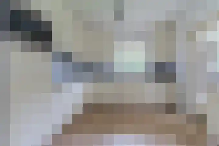 Korte Schoor 13 Hapert thumbnail 14
