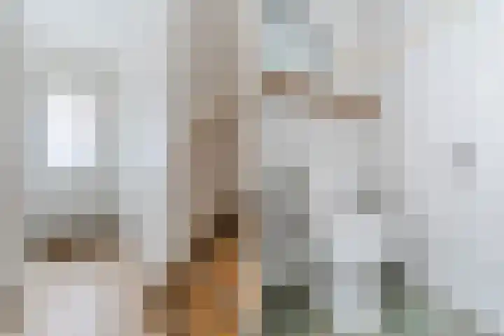 Korte Schoor 13 Hapert thumbnail 21