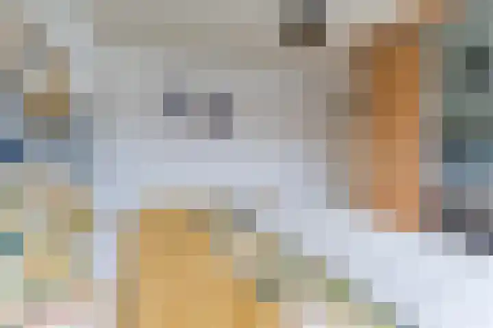 Korte Schoor 13 Hapert thumbnail 24