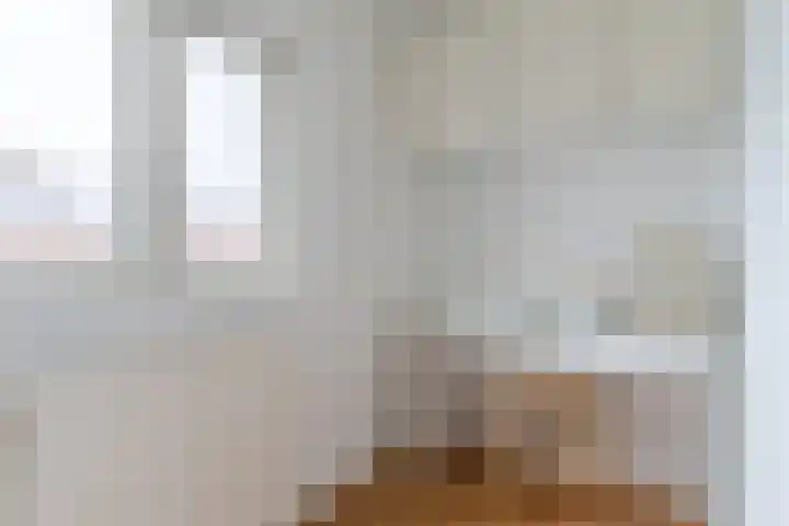 Korte Schoor 13 Hapert thumbnail 27