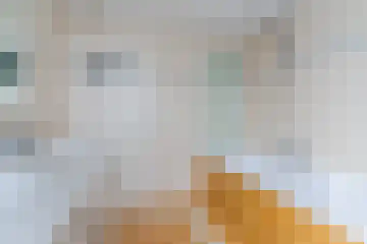 Korte Schoor 13 Hapert thumbnail 29