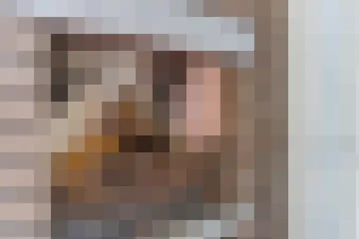 Korte Schoor 13 Hapert thumbnail 32