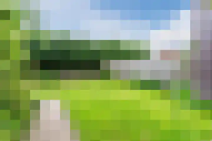 Korte Schoor 13 Hapert thumbnail 34