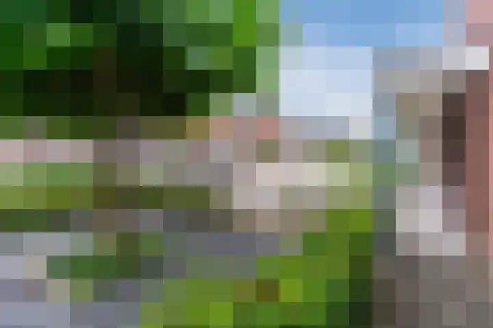 Korte Schoor 13 Hapert thumbnail 40