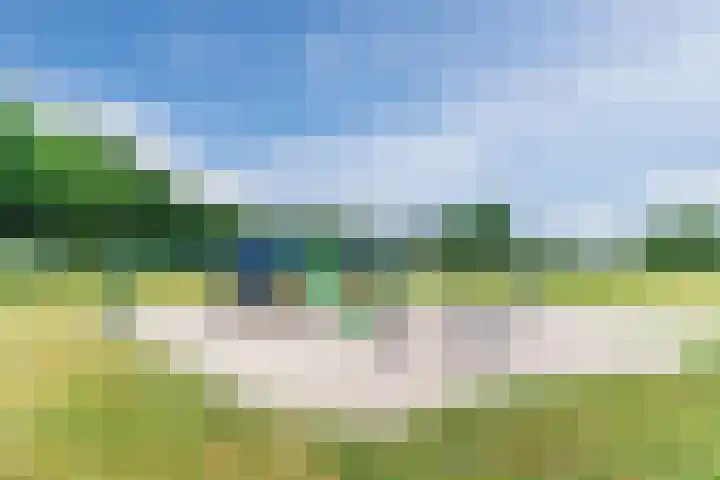 Korte Schoor 13 Hapert thumbnail 41