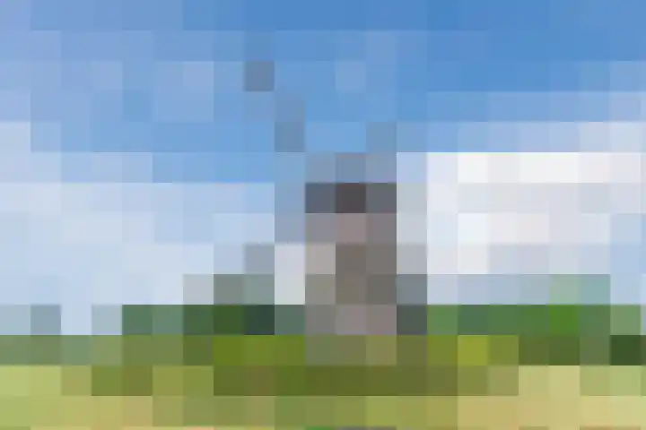 Korte Schoor 13 Hapert thumbnail 42