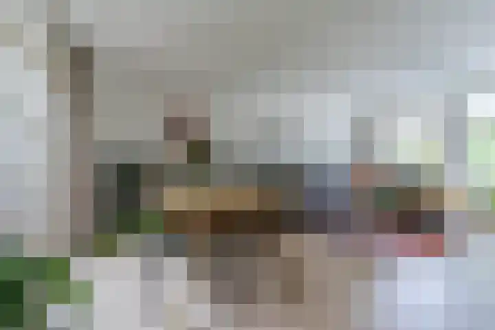 Korte Schoor 13 Hapert thumbnail 6