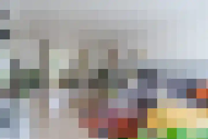 Korte Schoor 13 Hapert thumbnail 9