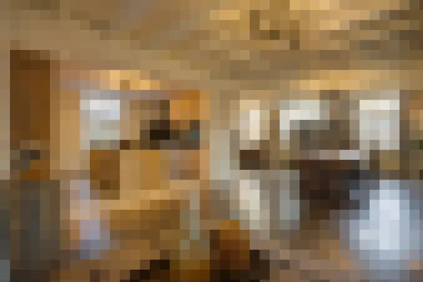 Korte Schoor 3 Etten-Leur thumbnail 10