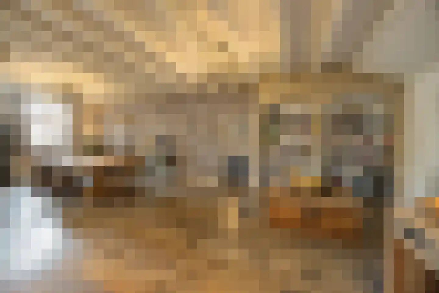 Korte Schoor 3 Etten-Leur thumbnail 12