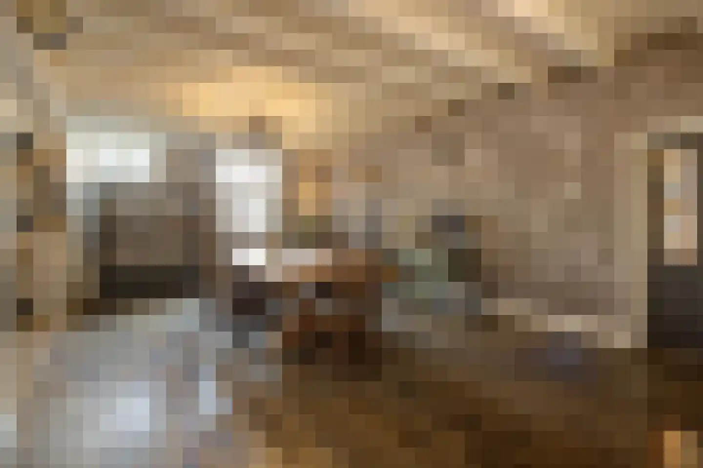 Korte Schoor 3 Etten-Leur thumbnail 13