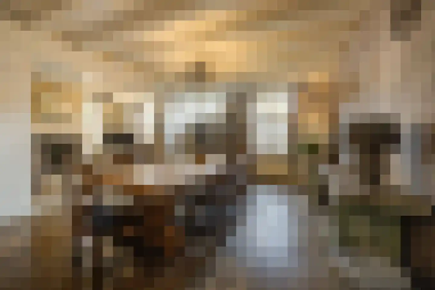 Korte Schoor 3 Etten-Leur thumbnail 14