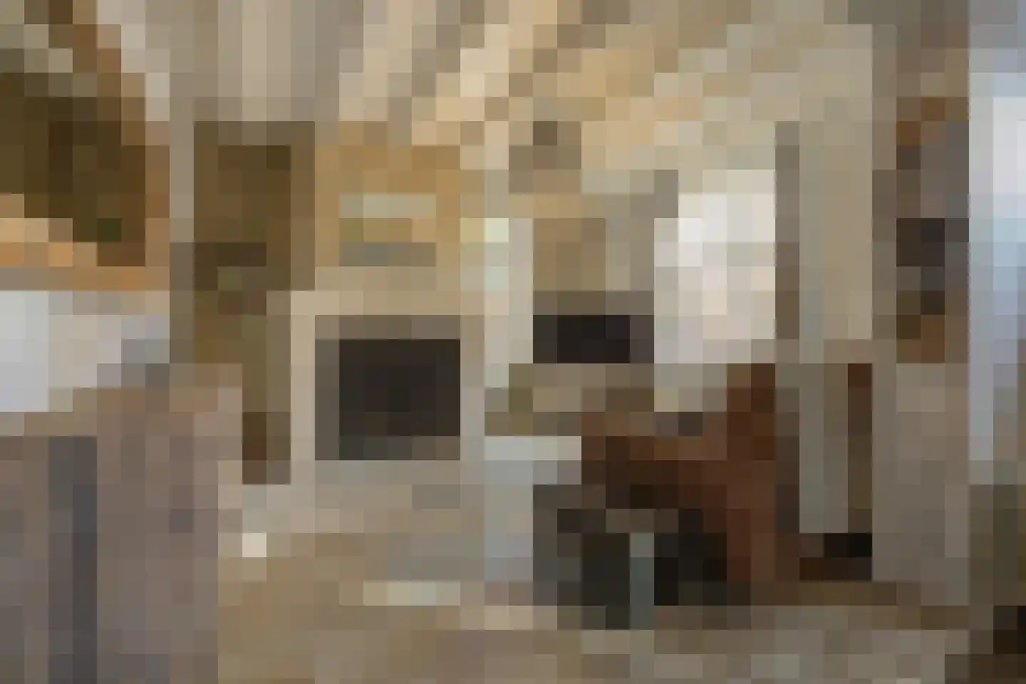 Korte Schoor 3 Etten-Leur thumbnail 15