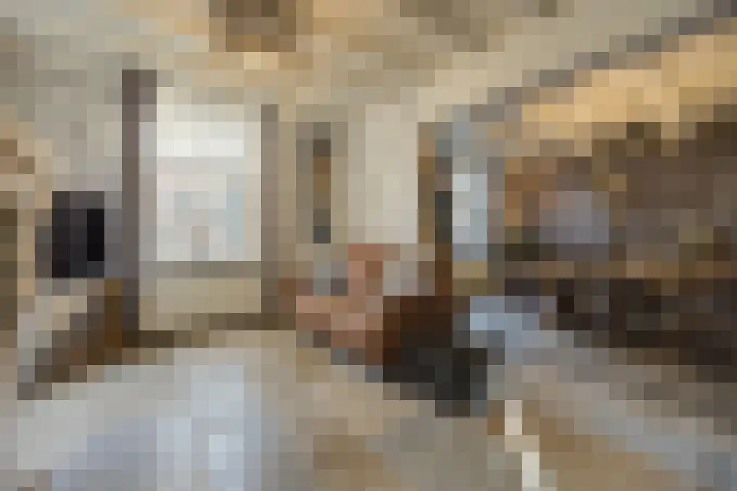 Korte Schoor 3 Etten-Leur thumbnail 16