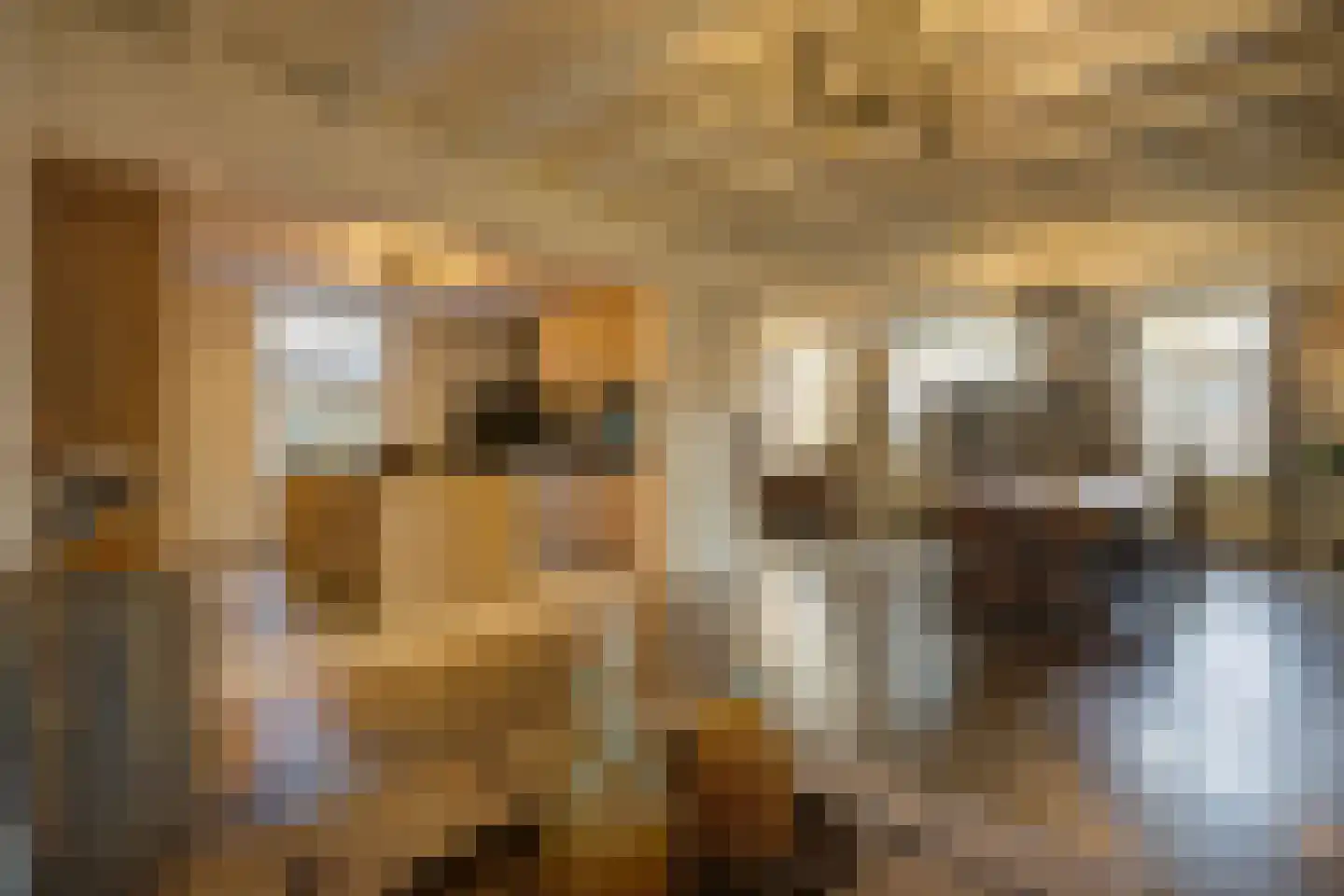 Korte Schoor 3 Etten-Leur foto 2