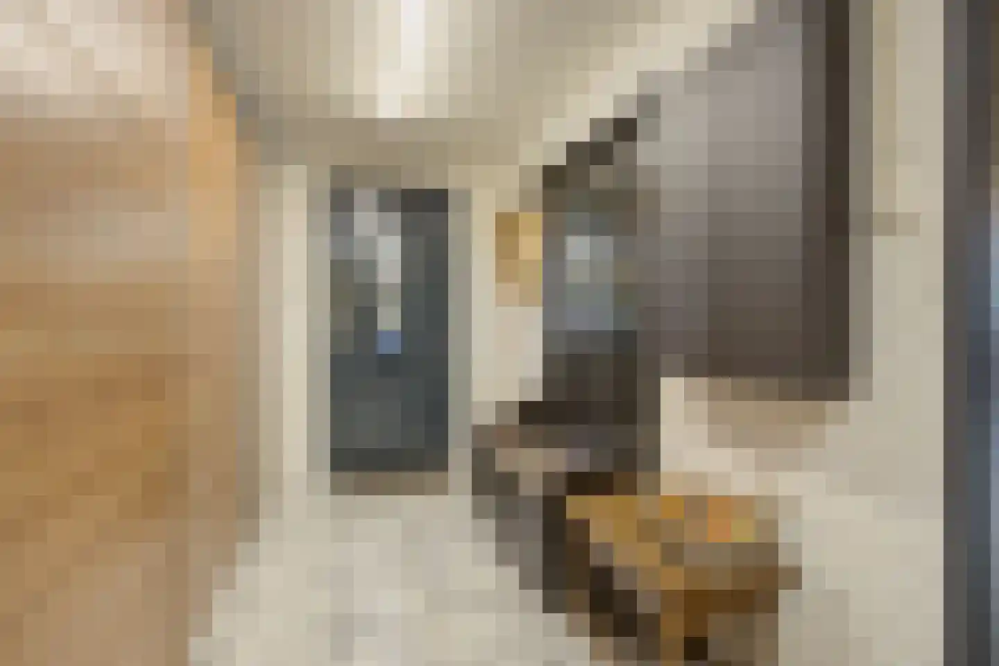 Korte Schoor 3 Etten-Leur thumbnail 21